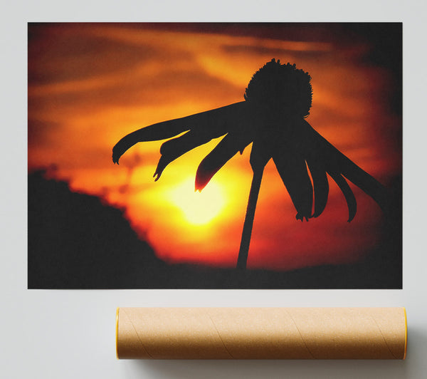 Sun Behind The Flower Print