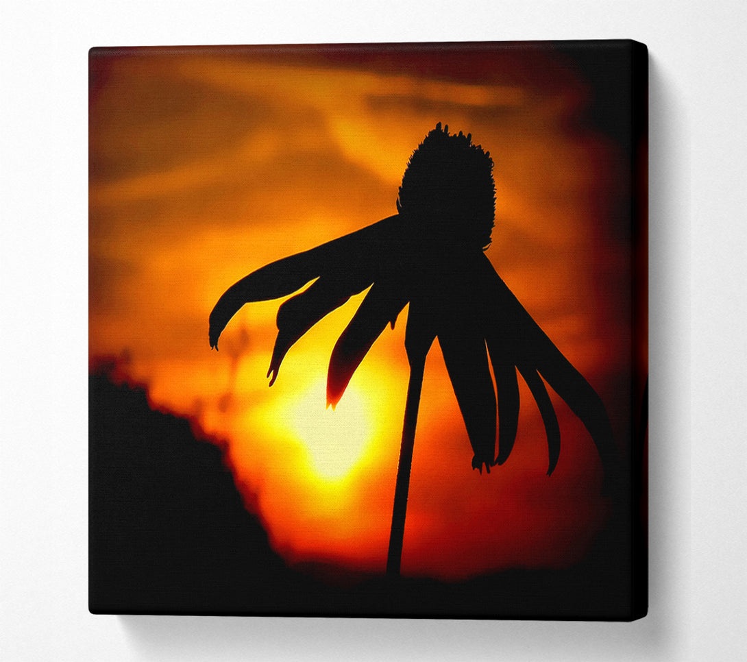  A Canvas Print of Sun Behind The Flower Canvas Wall Art
