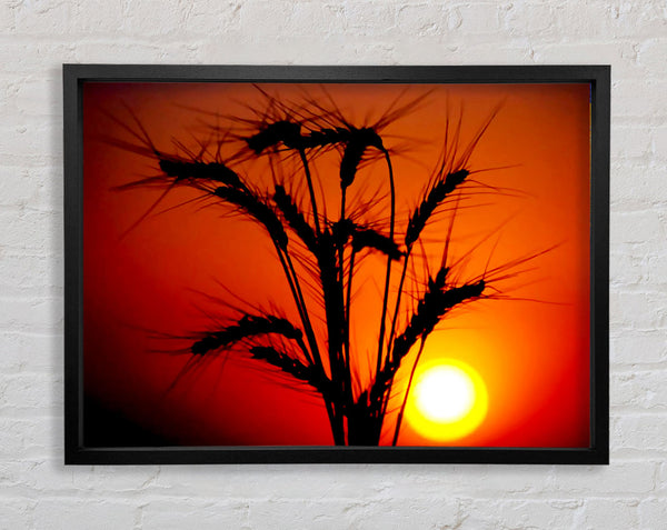 The Wheats Source Of Energy Framed Print