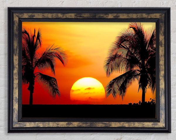 Sun Between The Palmtrees Framed Print