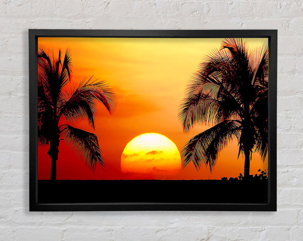 Sun Between The Palmtrees Framed Print