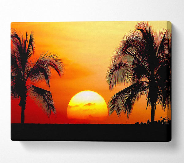  A Canvas Print of Sun Between The Palmtrees Canvas Wall Art