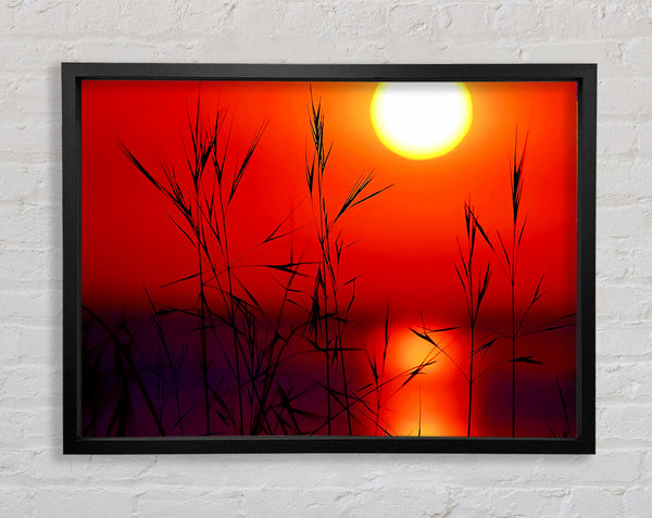 Sun Through The Red Reeds