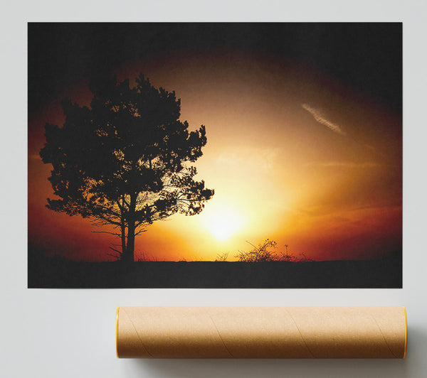 Sunrise Tree Poster