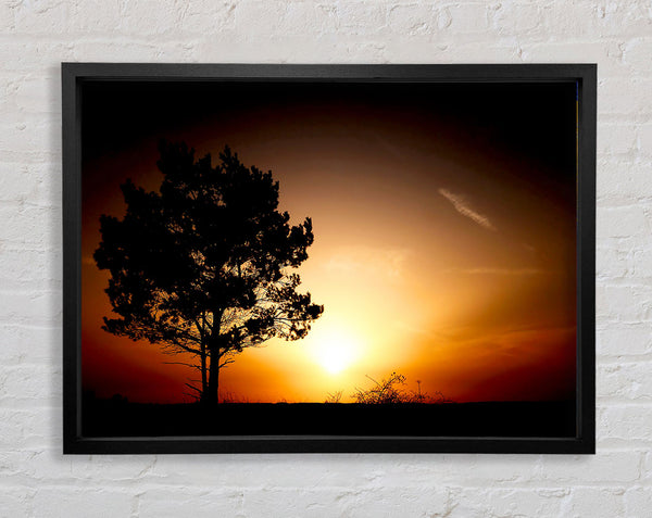 Sunrise Tree Framed Print