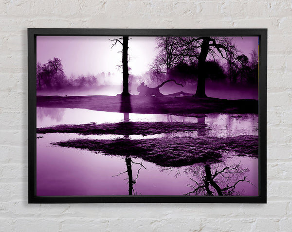 Sunset Forest Waters Purple