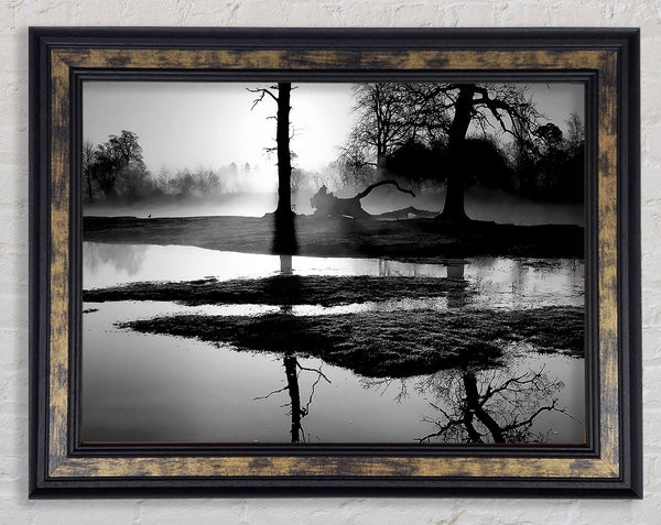 Sunset Forest Waters B n W Framed Print