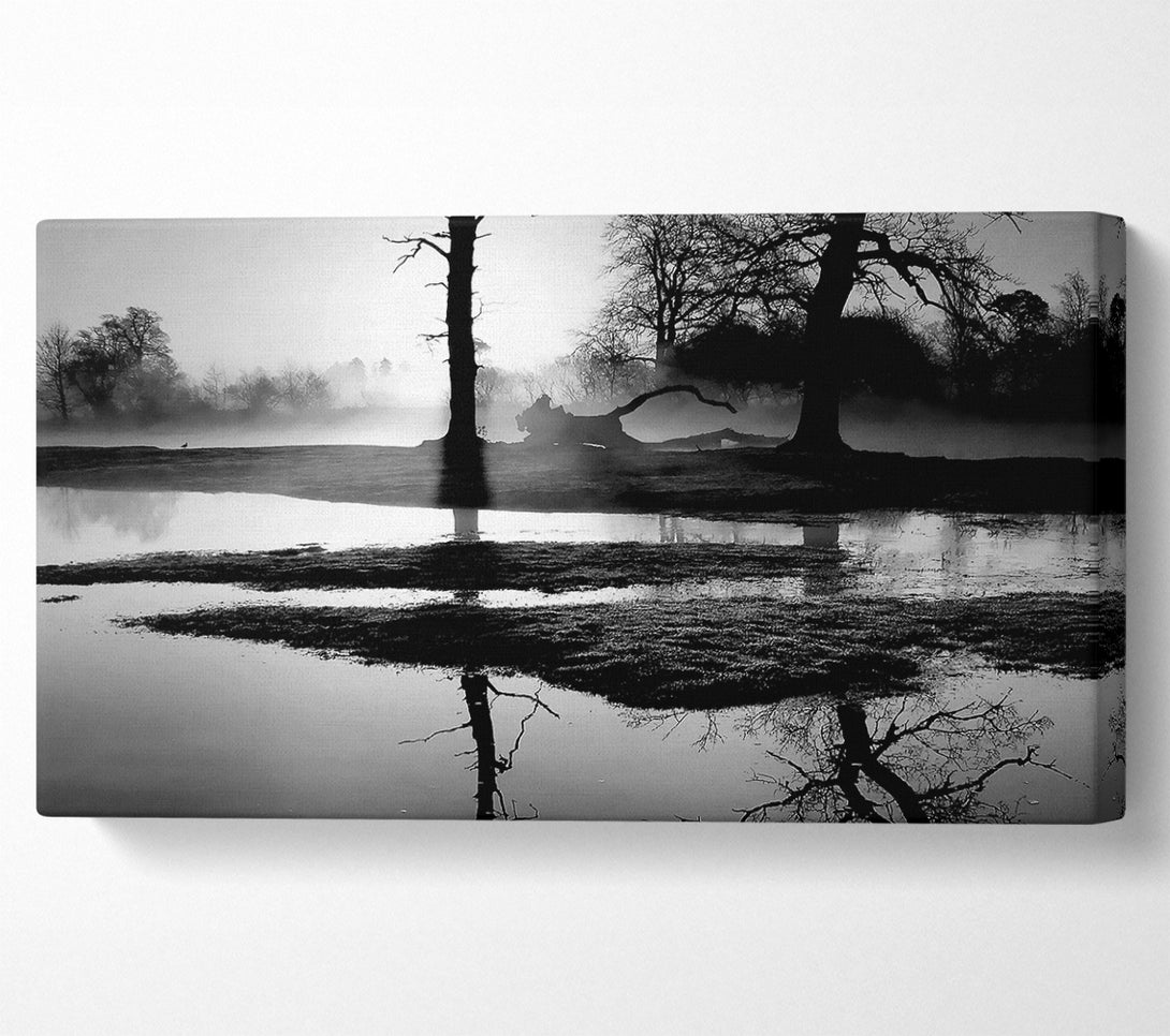  A Canvas Print of Sunset Forest Waters B n W Canvas Wall Art