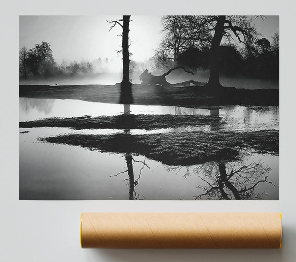 Sunset Forest Waters B N W Print