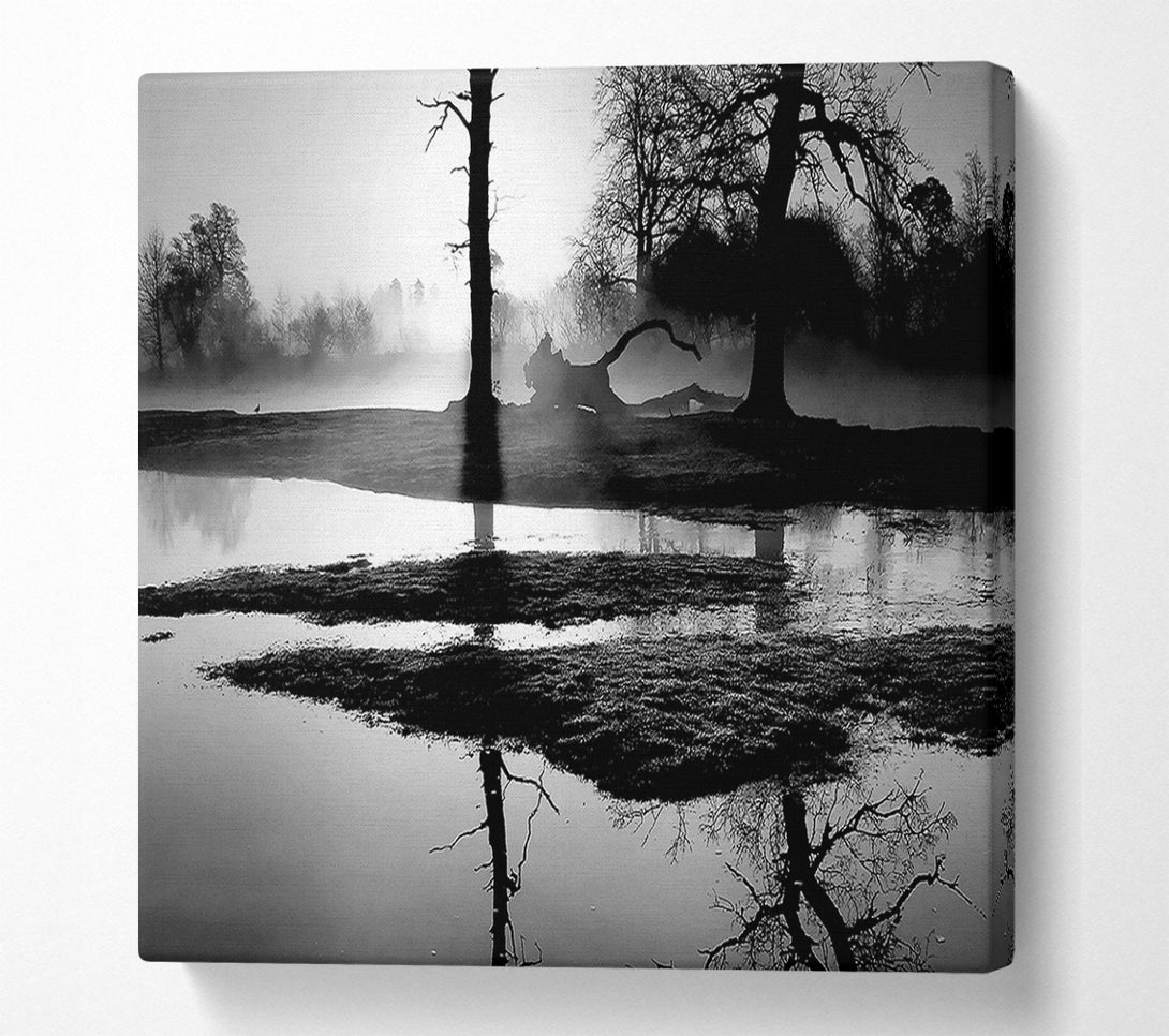  A Canvas Print of Sunset Forest Waters B n W Canvas Wall Art