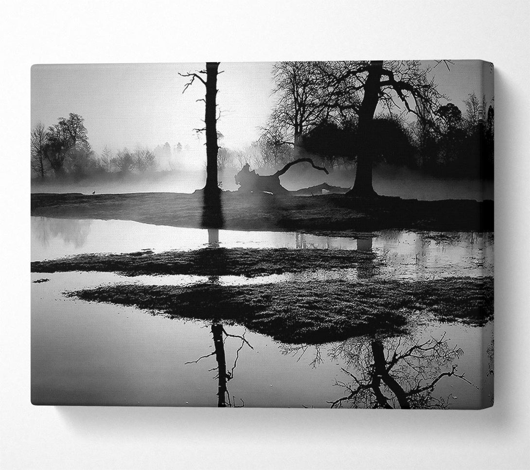  A Canvas Print of Sunset Forest Waters B n W Canvas Wall Art