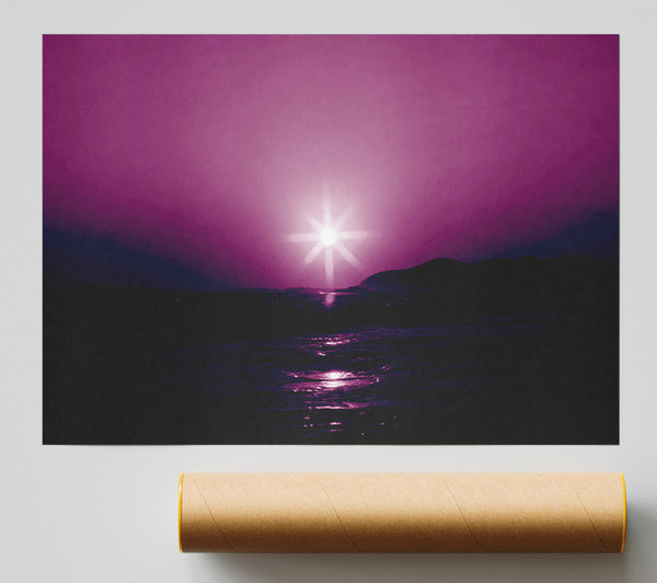 Sunstar Purple Print