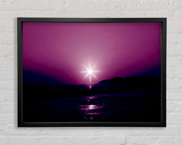 Sunstar Lila