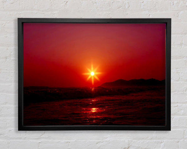 Sunstar Rot