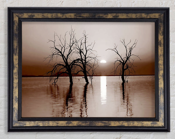 Chocolate River Tree Framed Print