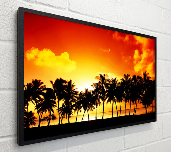 Orange Palm Tree Sunset