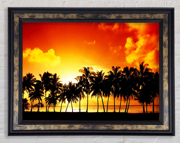 Orange Palm Tree Sunset Framed Print