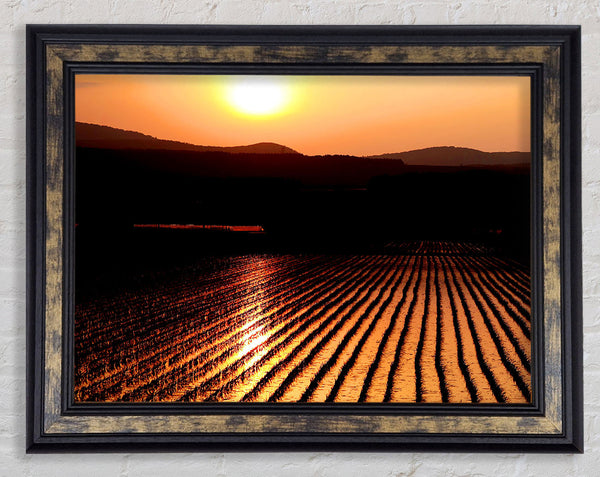 Sunset Over The Wheatfield Framed Print