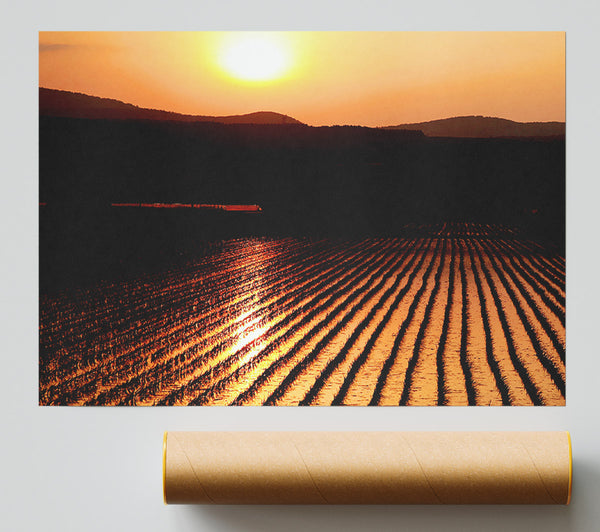 Sunset Over The Wheatfield Print
