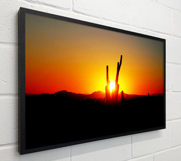Red Cactus Sunrise
