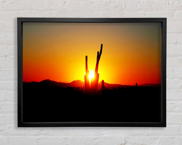 Red Cactus Sunrise