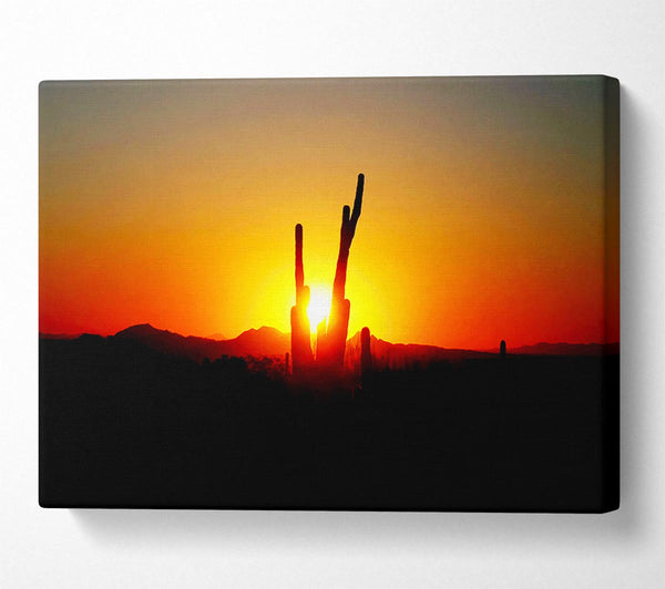 Red Cactus Sunrise Canvas Art