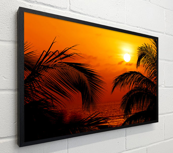 Orange Palmtree Sun