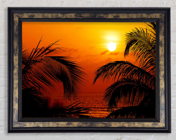 Orange Palmtree Sun Framed Print