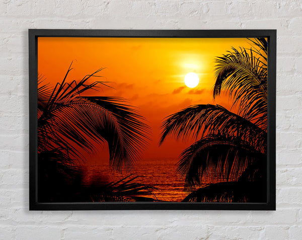 Orange Palmtree Sun