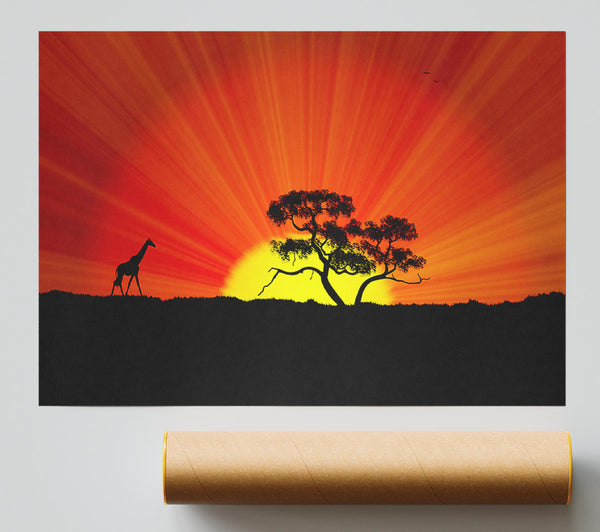 African Sunblaze Print
