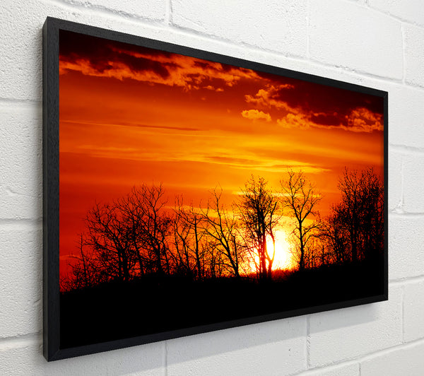 Orange Sunset Treeline