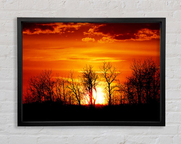 Orange Sonnenuntergang Baumgrenze