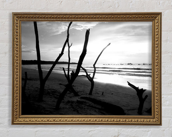 Driftwood Beach B &amp; B