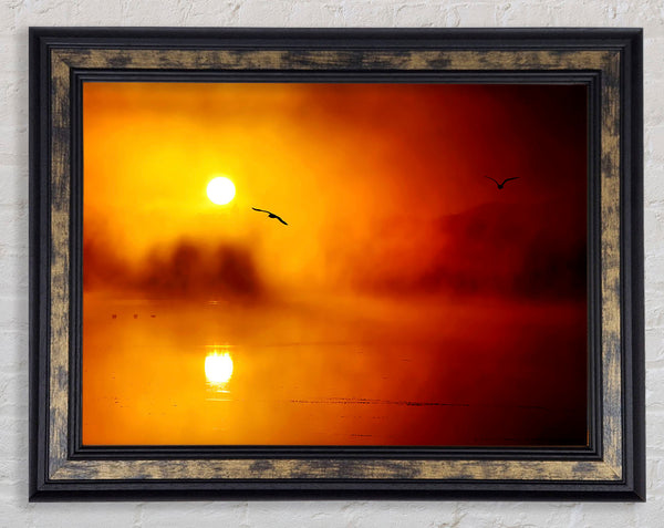 Birds Over The Golden Misty Lake Framed Print