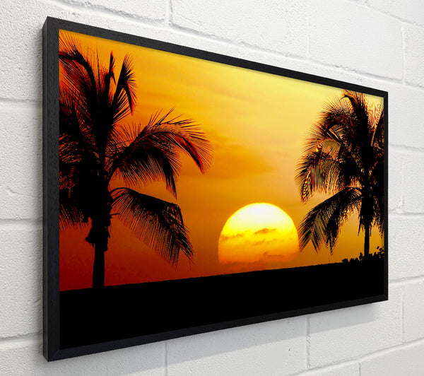 Palmtree Sunset