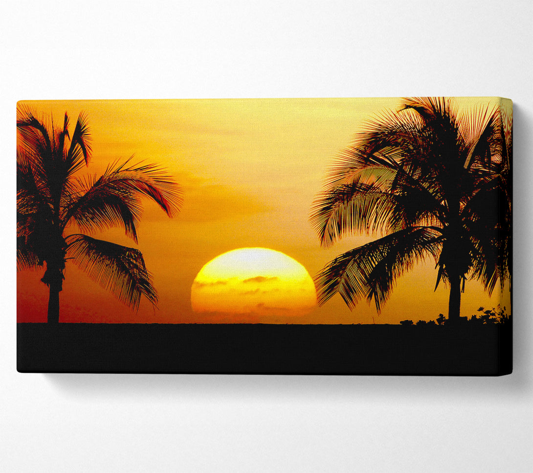  A Canvas Print of Palmtree Sunset Canvas Art