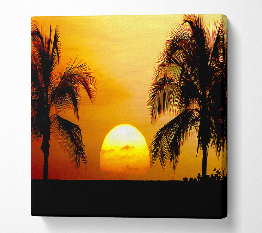  A Canvas Print of Palmtree Sunset Canvas Art