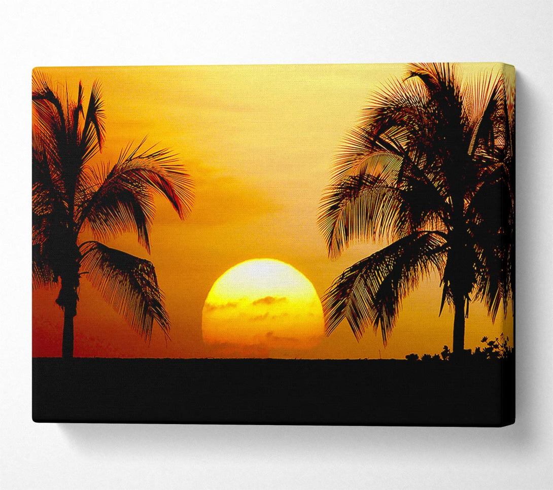  A Canvas Print of Palmtree Sunset Canvas Art