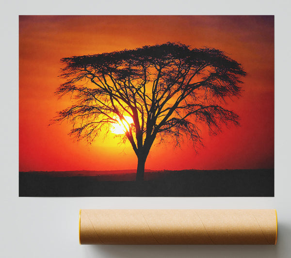 Sunset Through The Trees Print