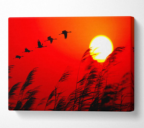 Geese In Flight Under The Red Sun Canvas Print