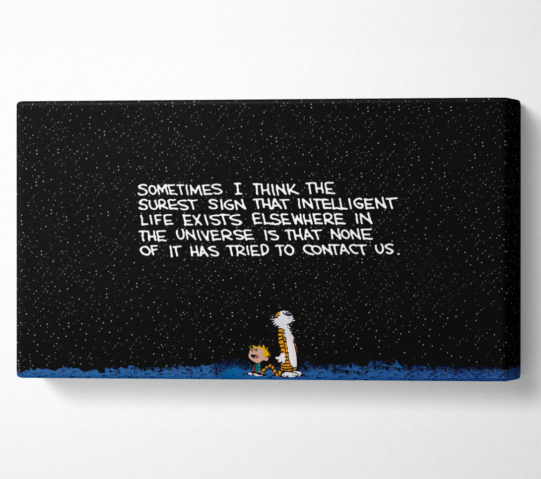  A Canvas Print of Funny Quote Sometimes I Think The Surest Sign Canvas Art