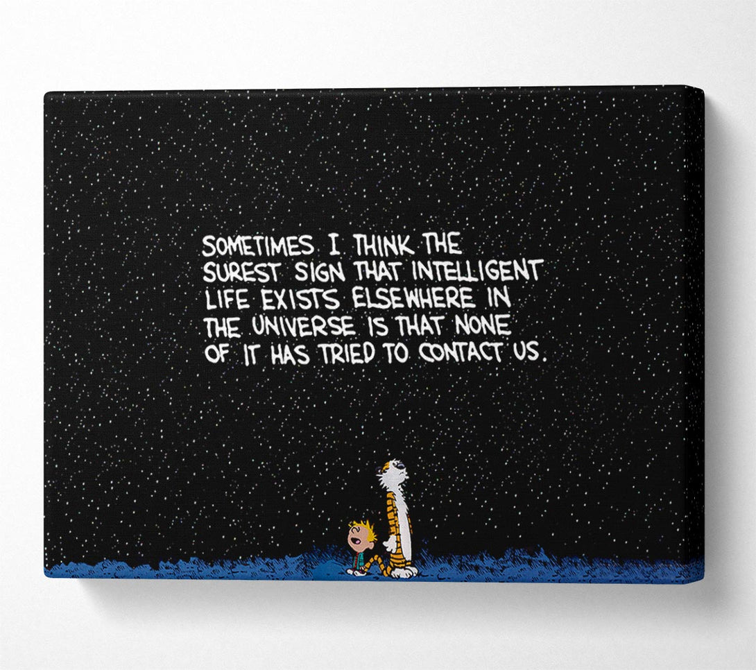  A Canvas Print of Funny Quote Sometimes I Think The Surest Sign Canvas Art