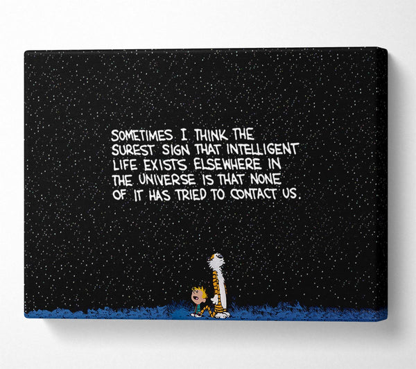  A Canvas Print of Funny Quote Sometimes I Think The Surest Sign Canvas Art