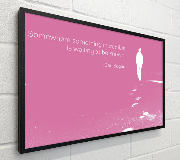 Carl Sagan Somewhere Something Pink