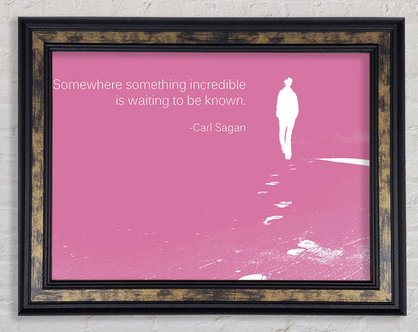 Carl Sagan Somewhere Something Pink Framed Print