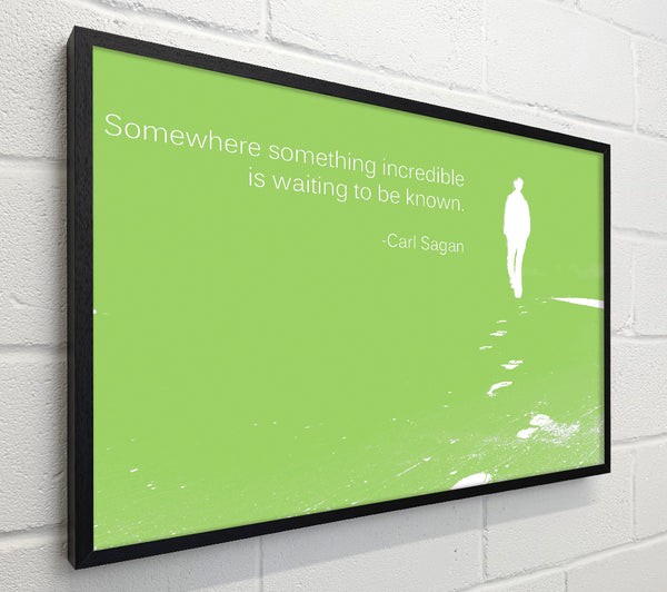 Carl Sagan Somewhere Something Lime Green