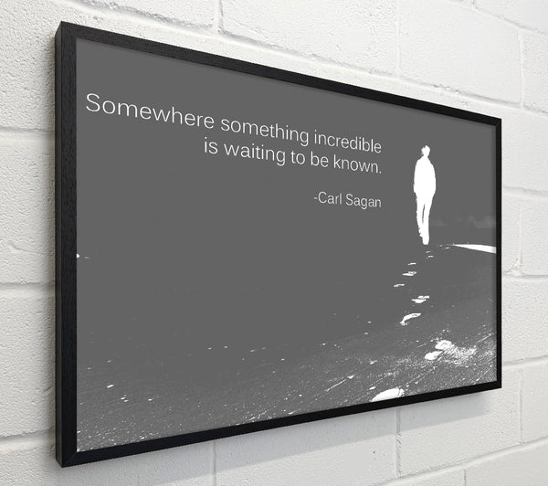 Carl Sagan Somewhere Something Grey