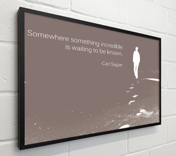Carl Sagan Somewhere Something Beige