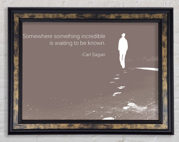 Carl Sagan Somewhere Something Beige Framed Print