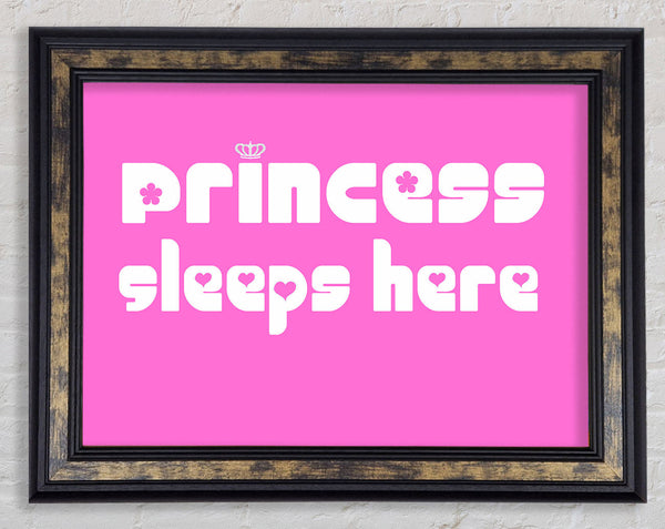 Princess sleeps 2 Vivid Pink Framed Print